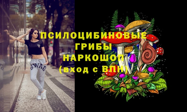 экстази Алексин