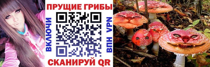 ссылка на мегу онион  сайты даркнета Telegram  Галлюциногенные грибы мицелий  Полтавская 